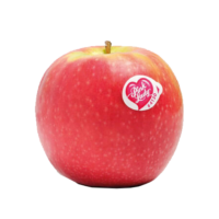 manzana roja (1)